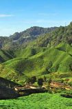 Reisebaustein Cameron Highlands © Malaysia Tourism Promotion Board