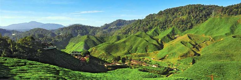 Reisebaustein Cameron Highlands © Malaysia Tourism Promotion Board